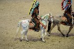 Quadrille - 00179